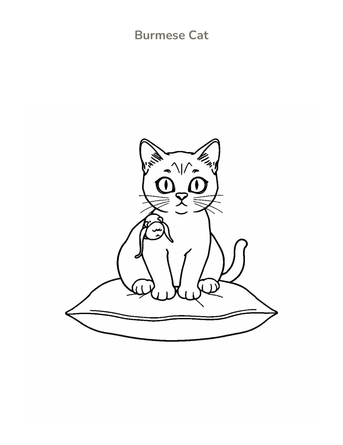 Burmese Cat Coloring Page cover