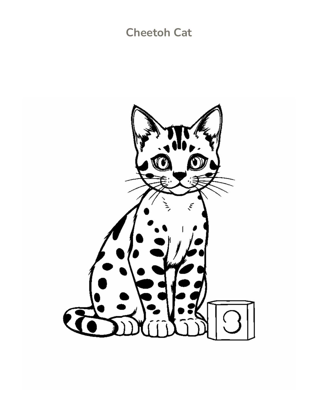 Cheetoh Cat Coloring Page cover