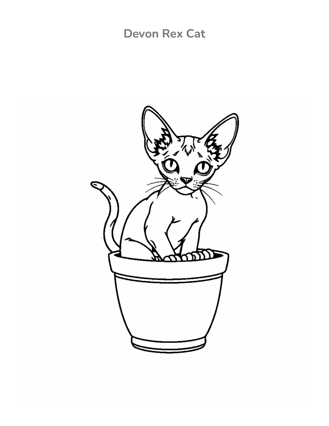 Devon Rex Cat Coloring Page cover