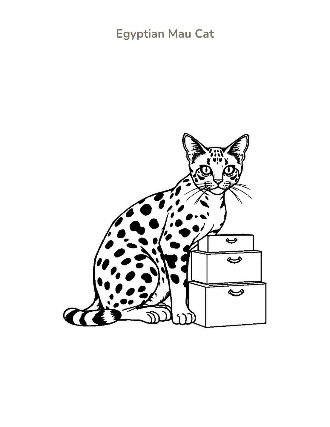 Egyptian Mau Cat Coloring Page cover