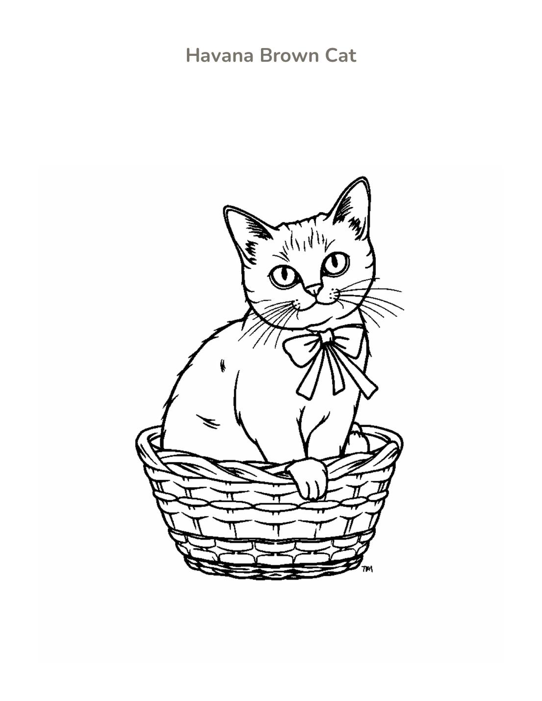 Havana Brown Cat Coloring Page cover