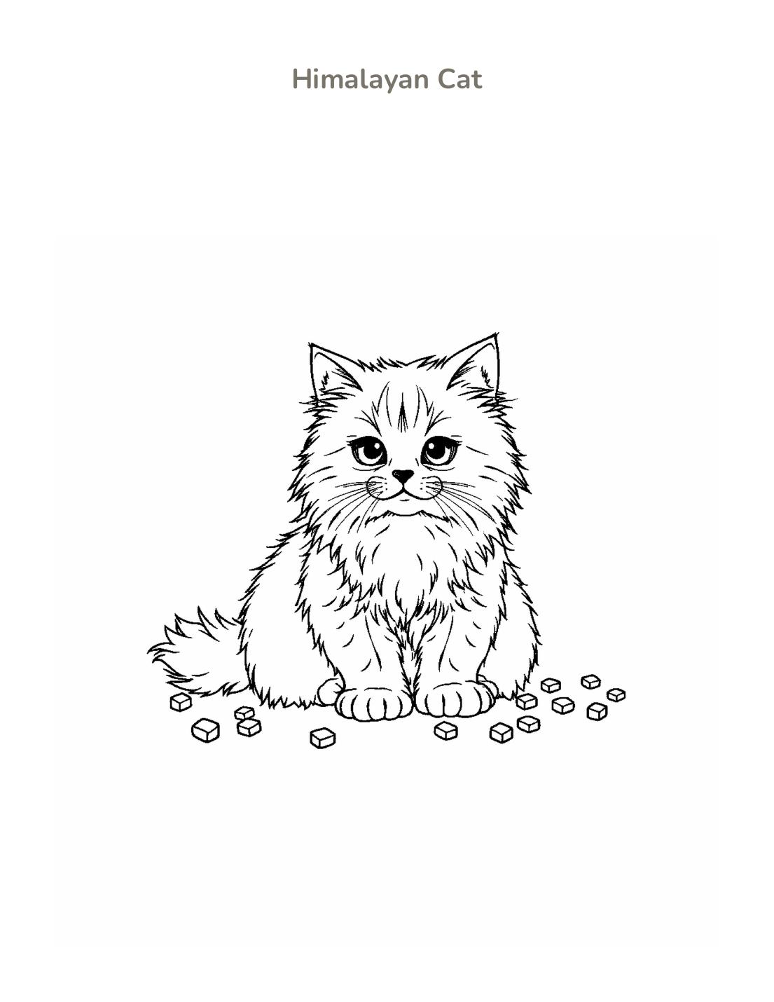 Himalayan Cat Coloring Page cover