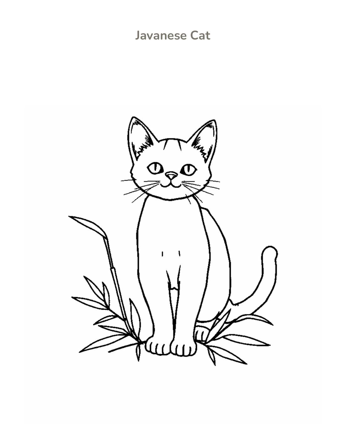 Javanese Cat Coloring Page cover