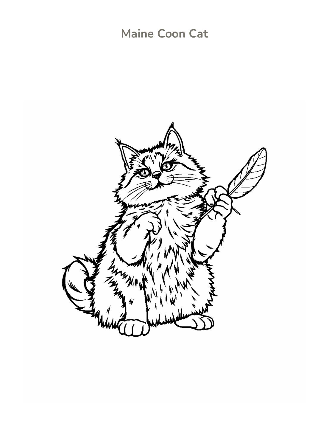 Maine Coon Cat Coloring Page cover