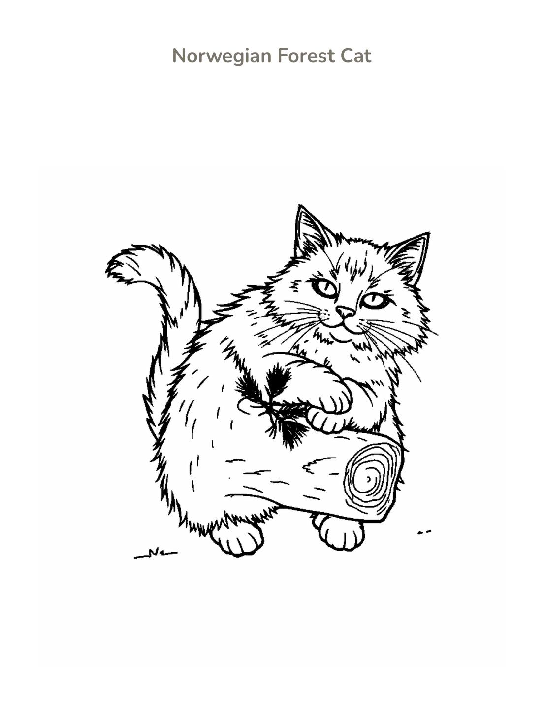 Norwegian Forest Cat Coloring Page cover