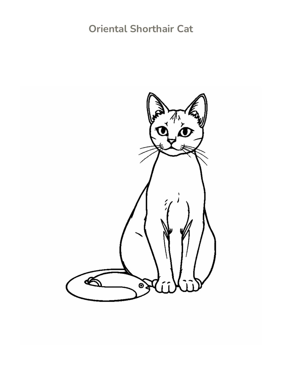 Oriental Shorthair Cat Coloring Page cover