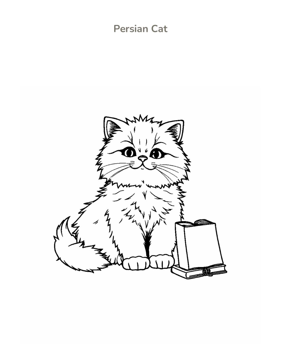 Persian Cat Coloring Page cover