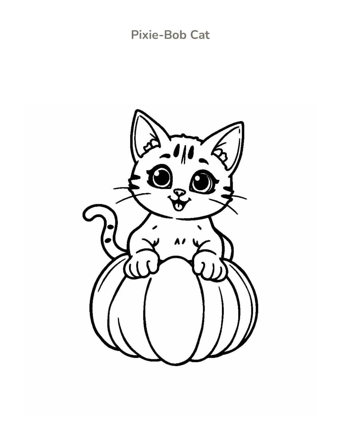 Pixie-Bob Cat Coloring Page cover