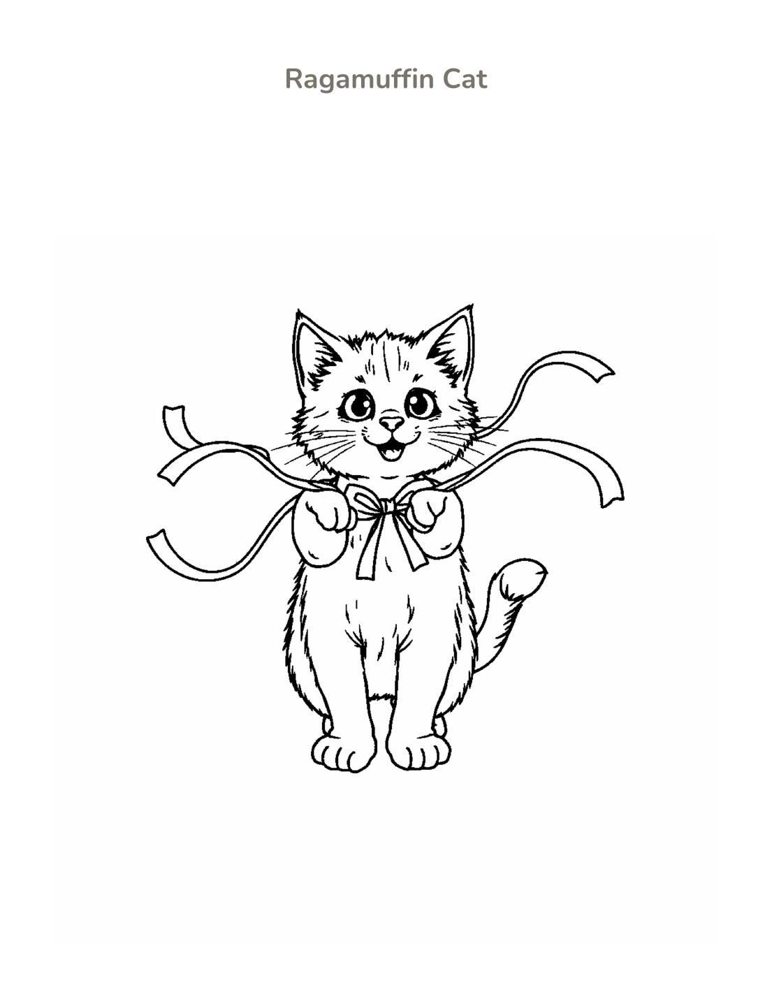 Ragamuffin Cat Coloring Page cover