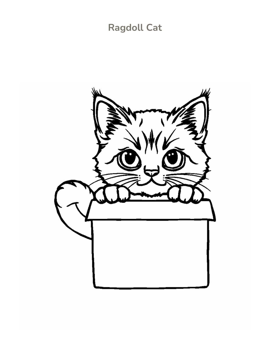 Ragdoll Cat Coloring Page cover