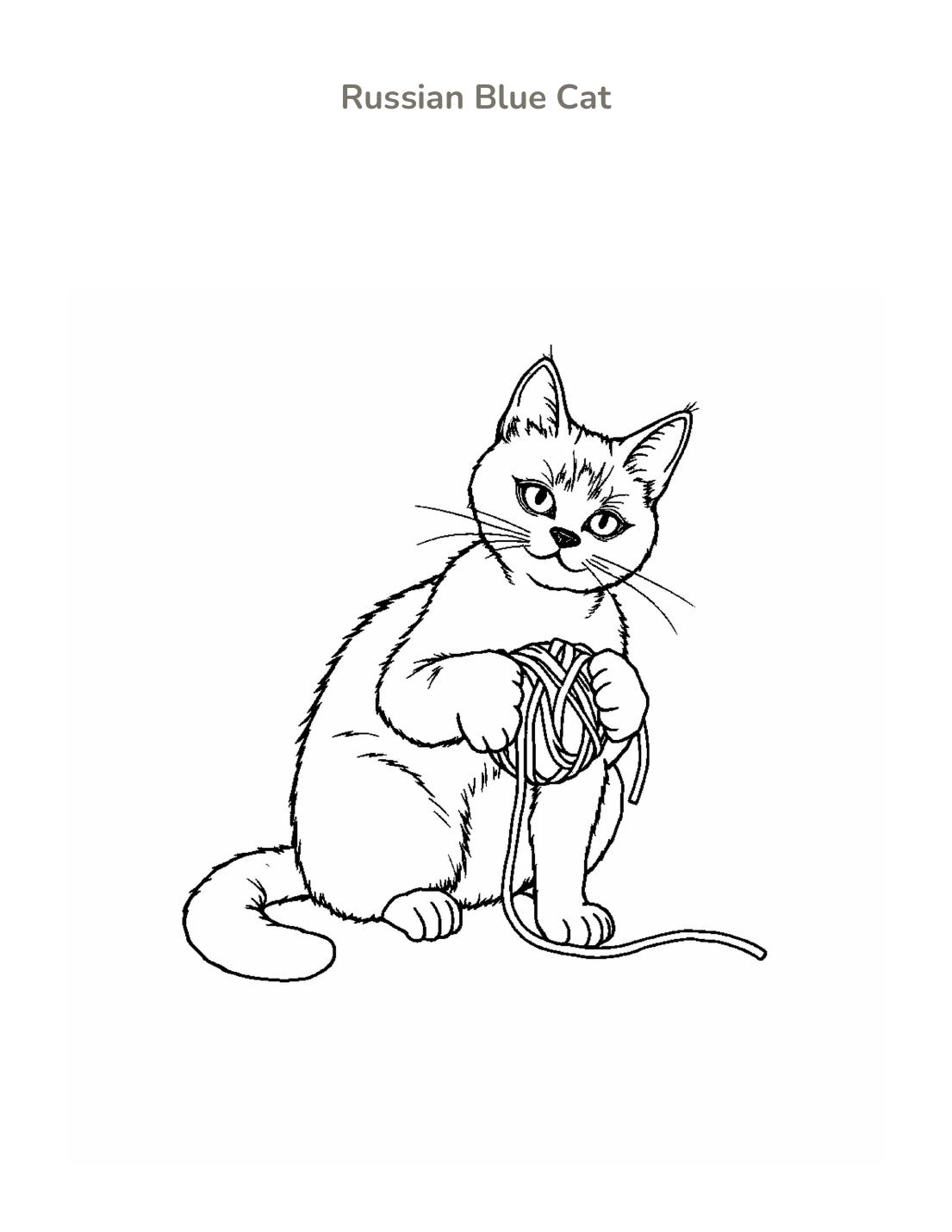 Russian Blue Cat Coloring Page cover
