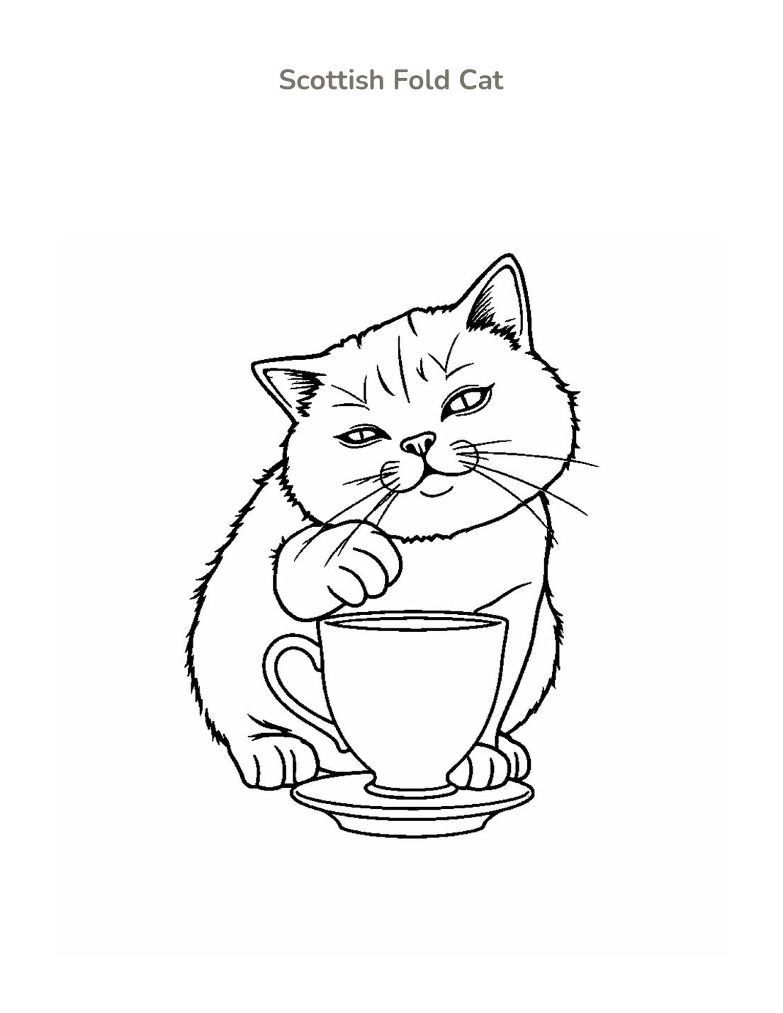 Scottish Fold Cat Coloring Page cover