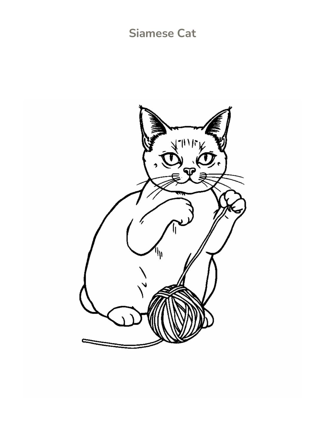 Siamese Cat Coloring Page cover