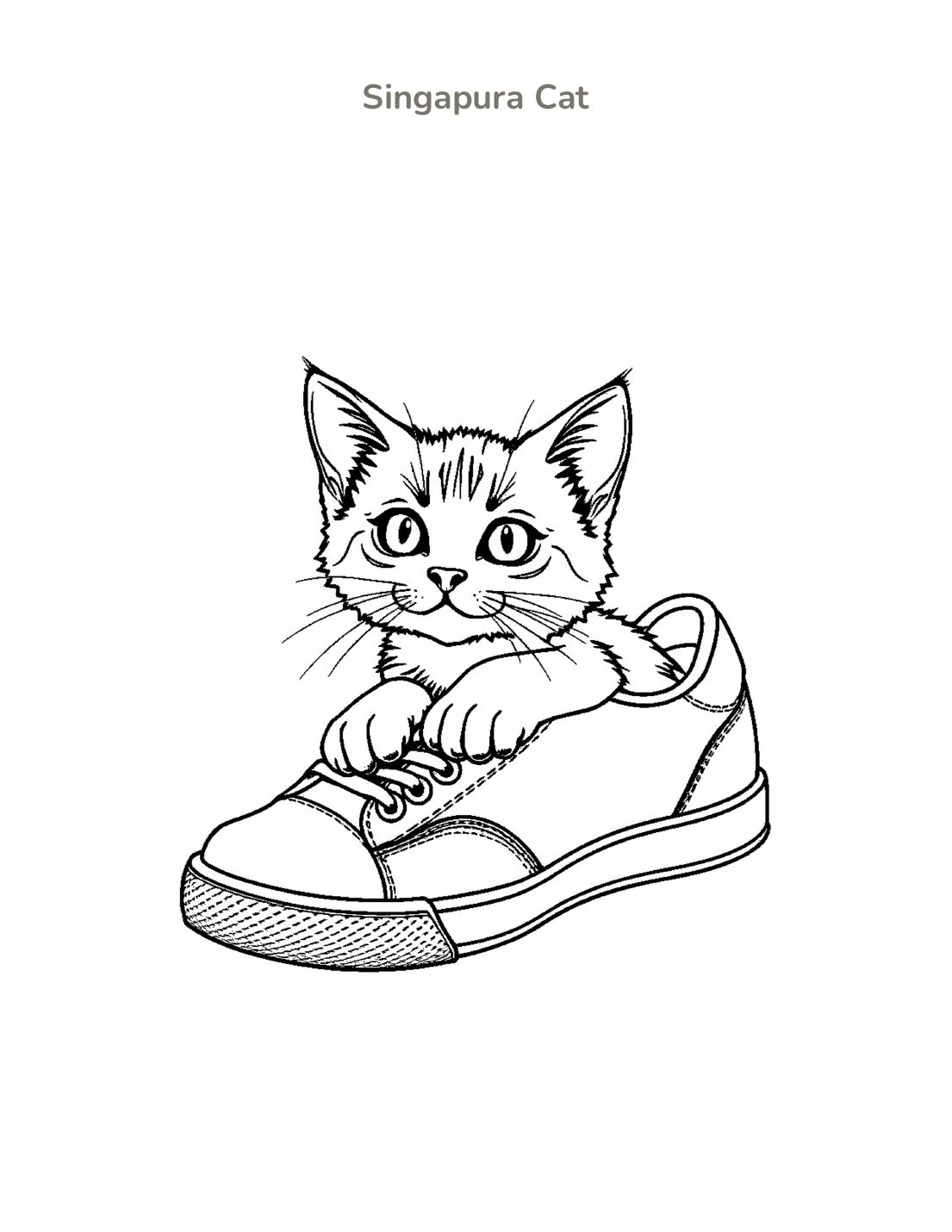 Singapura Cat Coloring Page cover