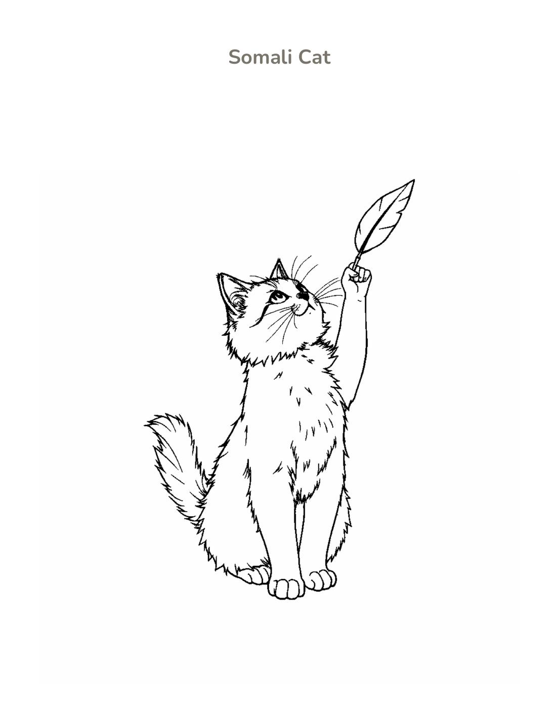 Somali Cat Coloring Page cover