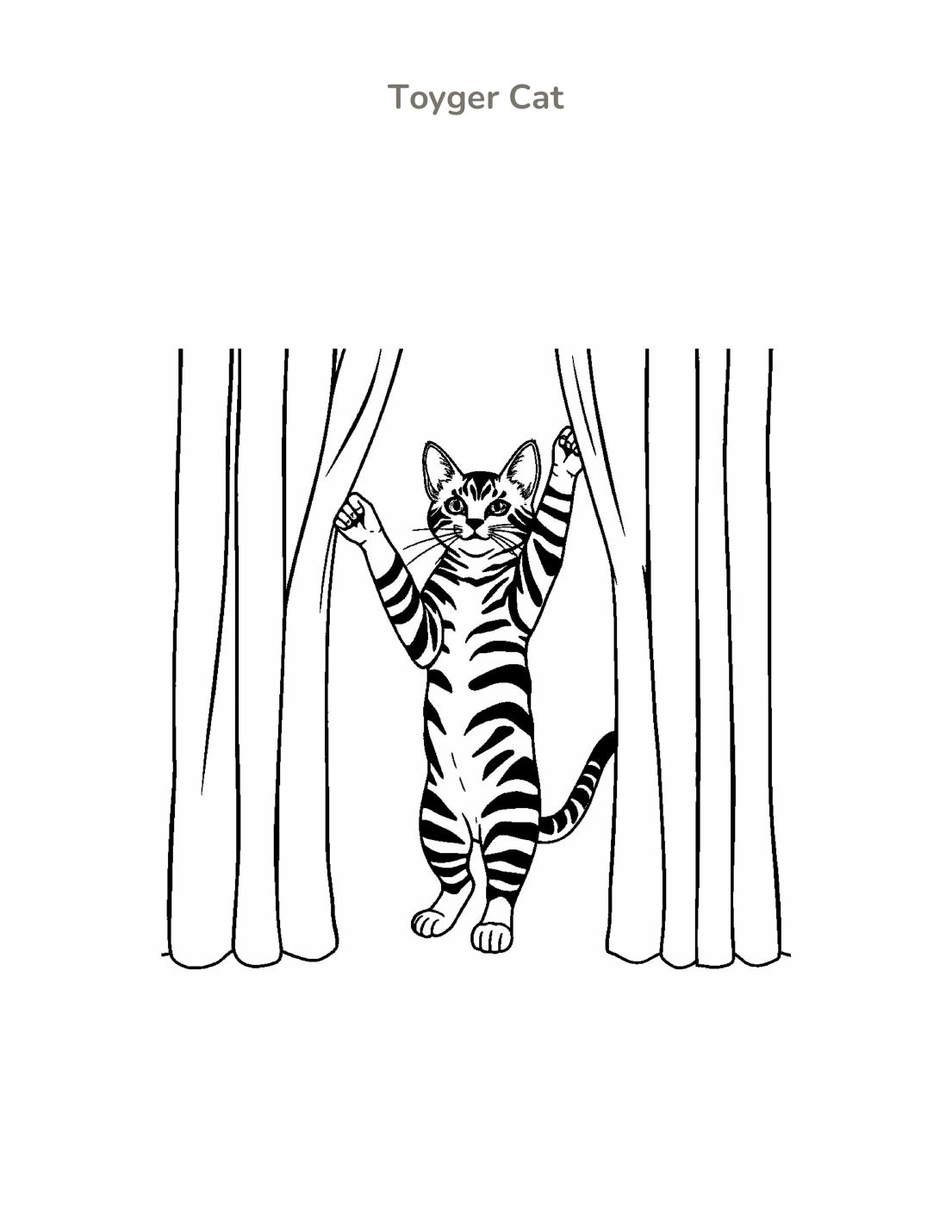 Toyger Cat Coloring Page cover