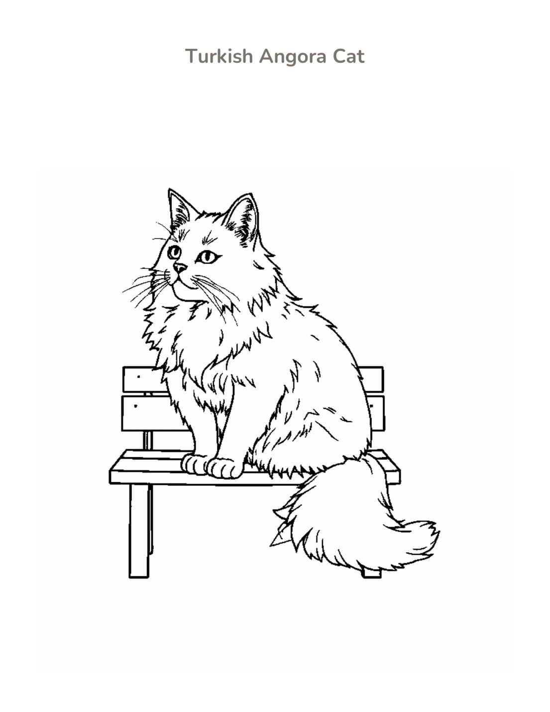 Turkish Angora Cat Coloring Page cover
